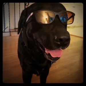 Meet your Posher, Julie